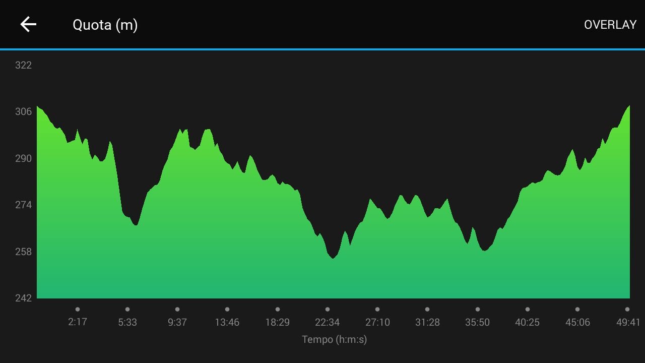 quota altimetria percorso millennium running